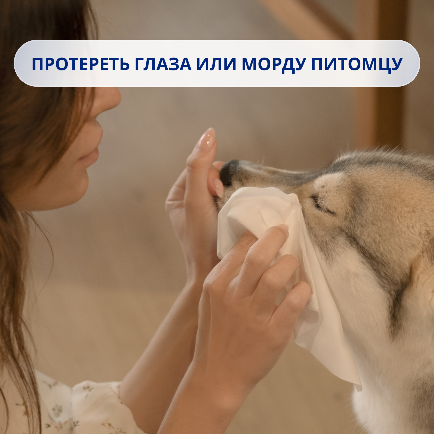 

Салфетки бумажные Zewa Everyday 100 шт. дизайн упаковки в ассортименте