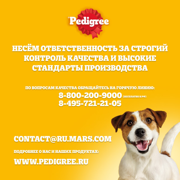 

Влажный корм Pedigree для собак говядина в соусе 85 г