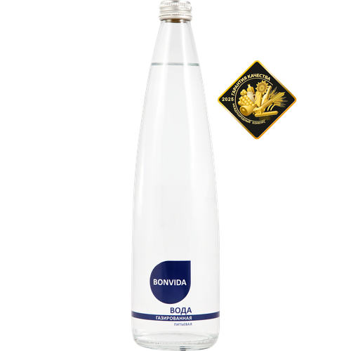 

Вода питьевая Bonvida артезианская газированная 750 мл