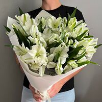 Изображение 4