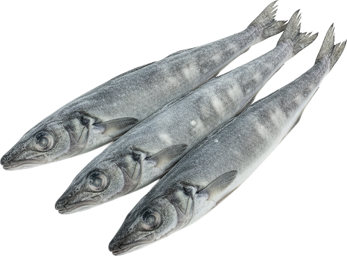 

Рыба ледяная Моремания неразделанная 1000 г