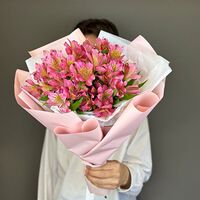 Изображение 4