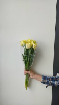 7 пионовидных жёлтых тюльпанов