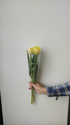 3 пионовидных жёлтых тюльпана