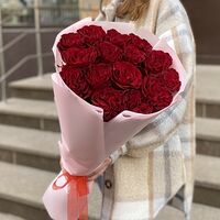 Изображение 6