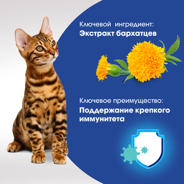 

Лакомство Perfect Fit Immunity для кошек с курицей и добавлением экстракта бархатцев 50 г