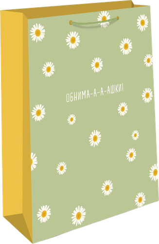 

Пакет подарочный Арт и Дизайн 18х223х10см в ассортименте