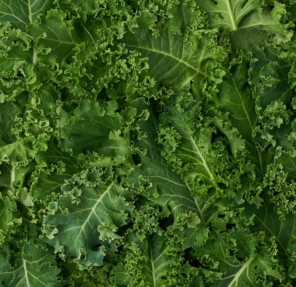 

Капуста Кейл Ferмы листовая в срезе 75 г