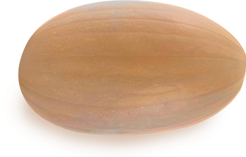 

Тыква витаминная, вес