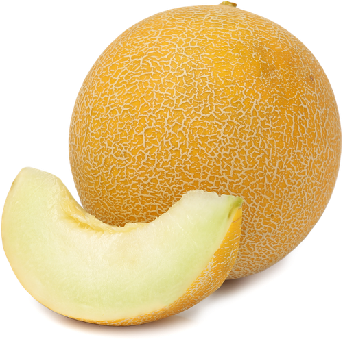 

Дыня Галия весовая