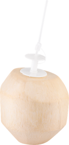 

Кокос молочный 1 шт 1000 г