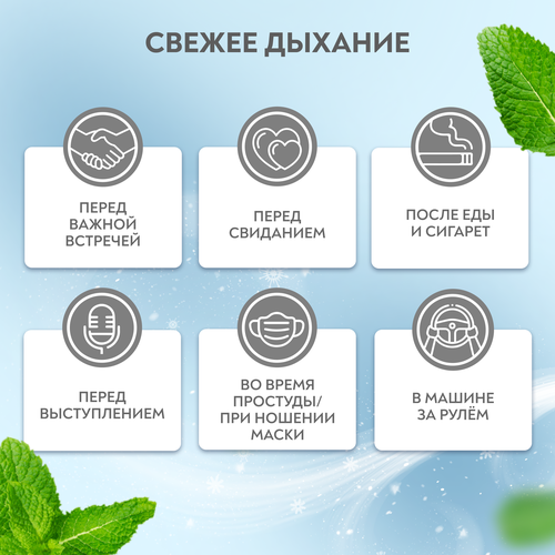 

Спрей для полости рта President Smokers свежая мята освежающий 15 мл