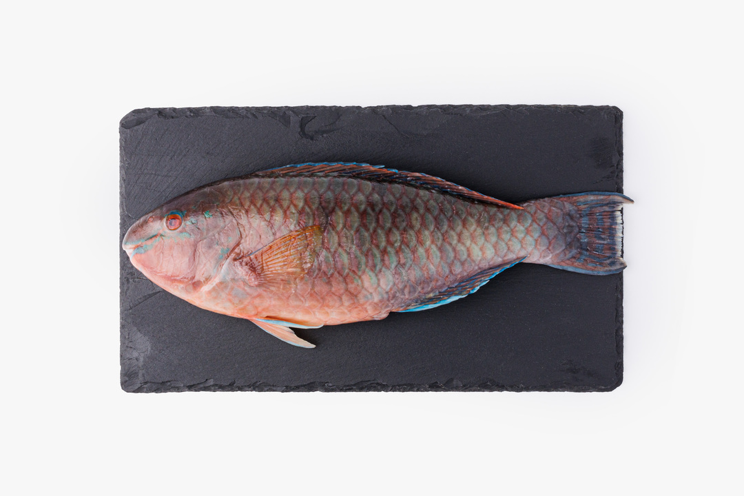 

Рыба попугай охлаждённая вес