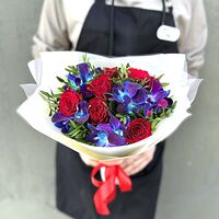 Изображение 4