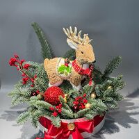 Изображение 6