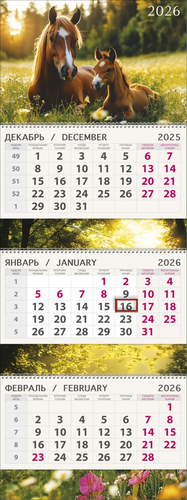 

Календарь квартальный Арт и Дизайн 30x84 см в ассортименте