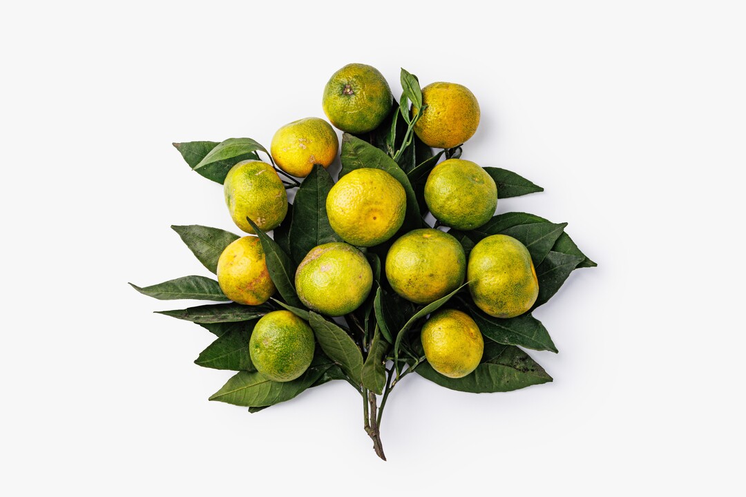 

Мандарин с листочками весовой