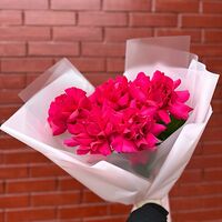 Изображение 5