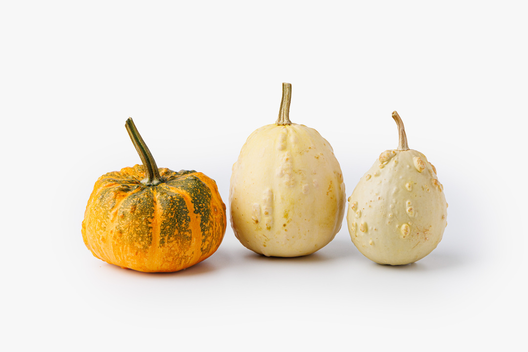 

Тыква декоративная в ассортименте 3 шт., 1 кг