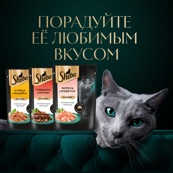 

Влажный корм для кошек Sheba Ломтики в соусе Форель и Креветки 75 г