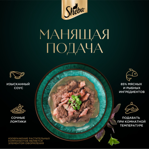 

Влажный корм для кошек Sheba Ломтики в соусе Форель и Креветки 75 г
