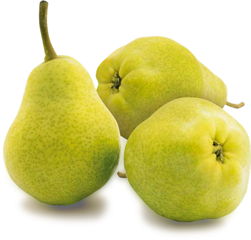 

Груша Анжу фасованная вес