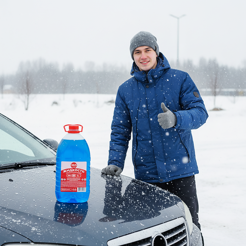 

Стеклоочиститель 365 дней до -10 градусов 3 л