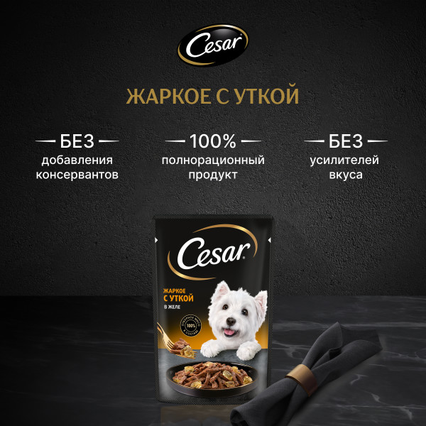 

Влажный корм для собак Cesar Жаркое с уткой в желе 85 г