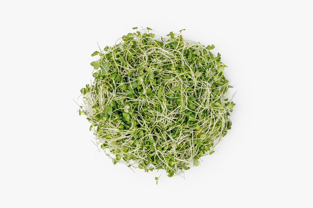 

Микрозелень ВкусВилл ростки капусты кейл 30 г