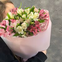 Изображение 2