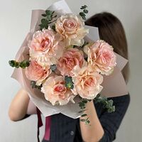Изображение 4