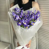 Изображение 3