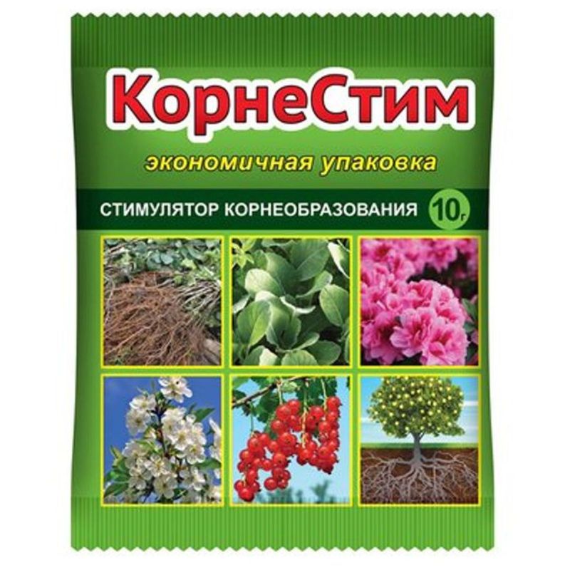 

Стимулятор роста Ваше хозяйство КорнеСтим 10 г