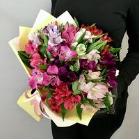 Изображение 6