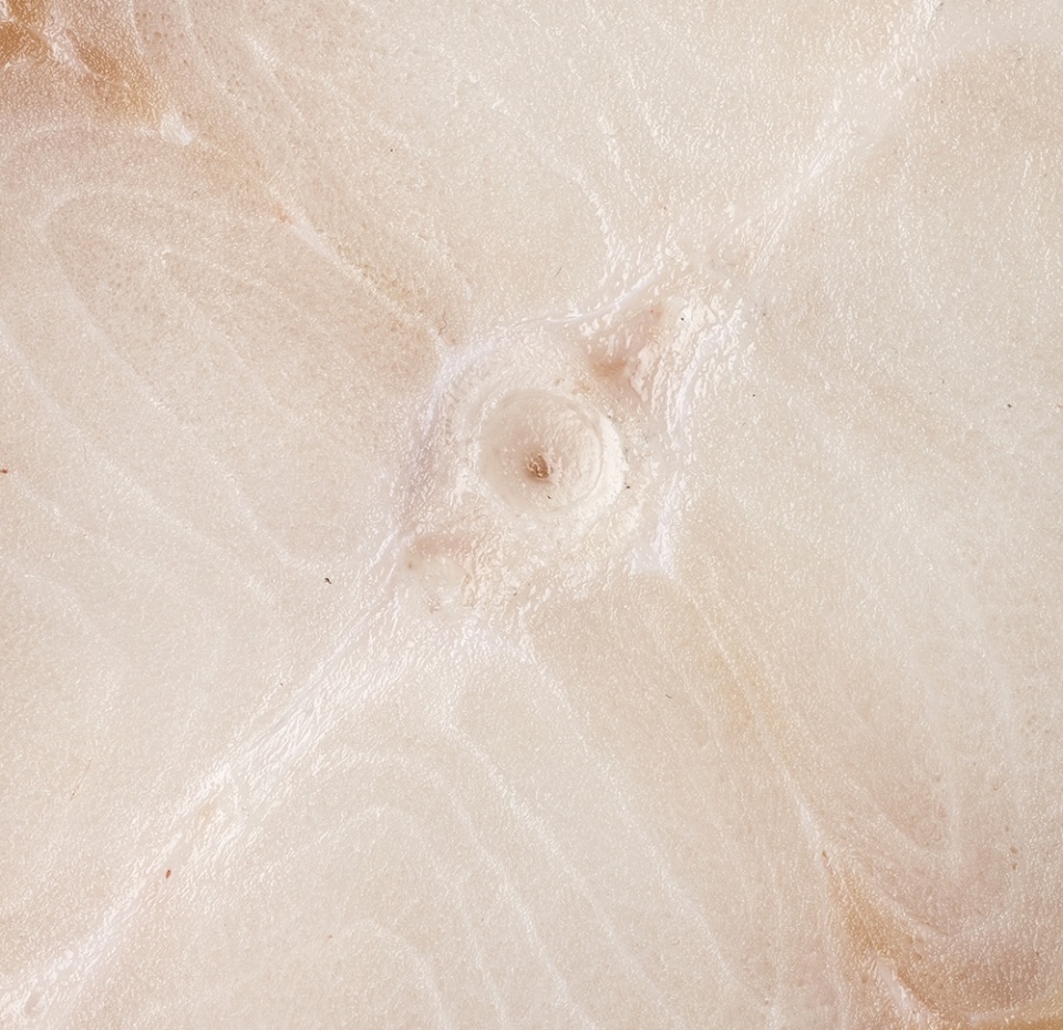 

Сибас чилийский стейк Фишерис Аргентина вес