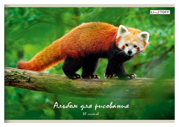 

Альбом для рисования LISTOFF 30 листов, на скрепке, в ассортименте