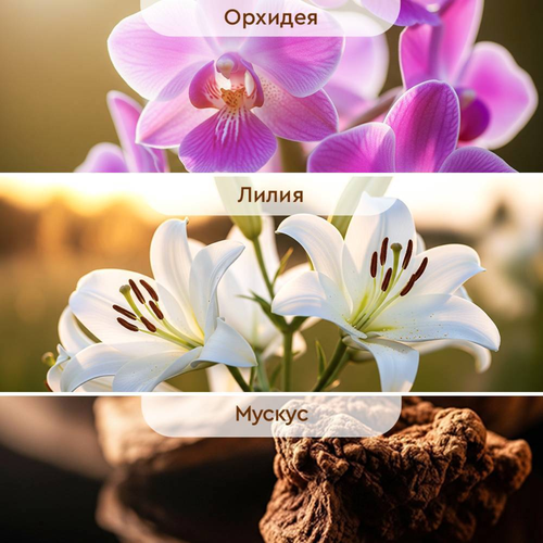 

Освежитель воздуха Бреф Deluxe Волшебная орхидея аэрозоль 280 мл