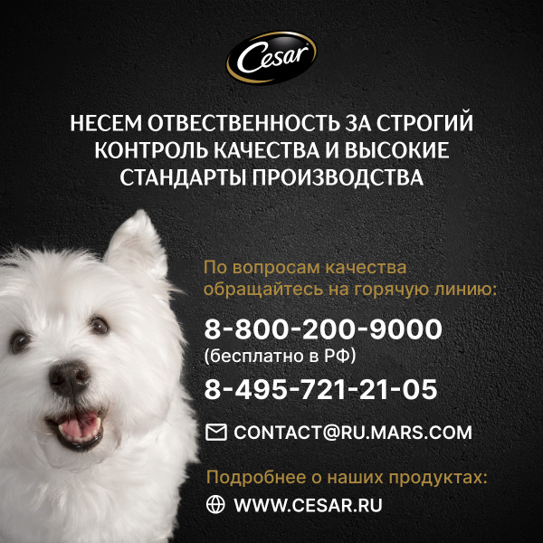 

Влажный корм Cesar для взрослых собак с тушеной телятиной и овощами в желе 85 г