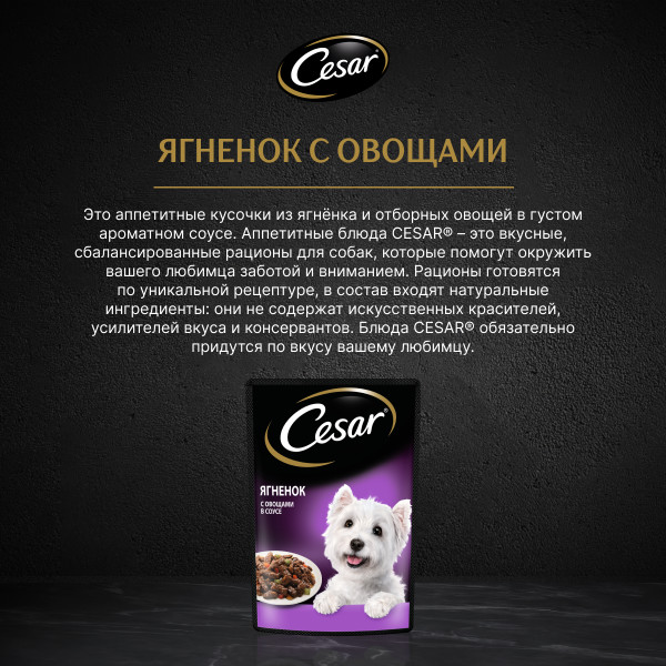 

Влажный корм Cesar для взрослых собак с ягненком и овощами в соусе 85 г