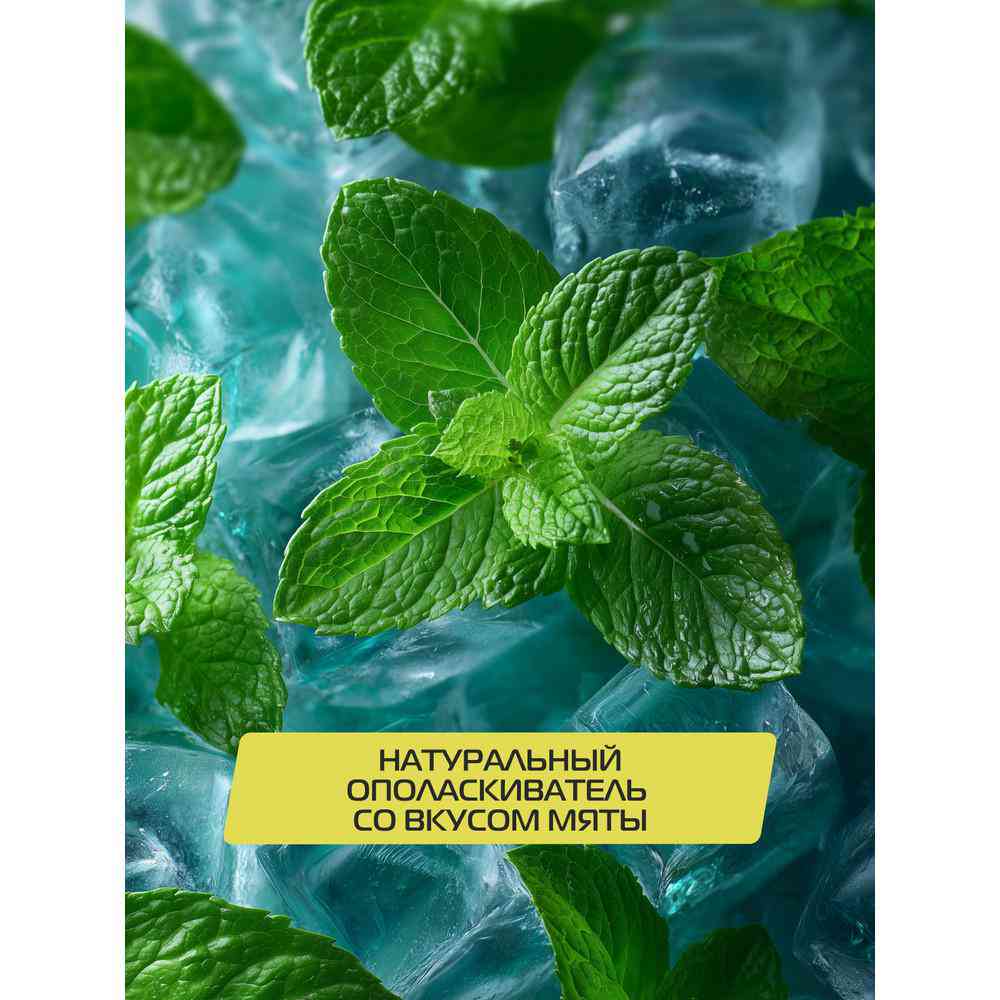 

Ополаскиватель для полости рта Biomed Мятный шторм 500 мл