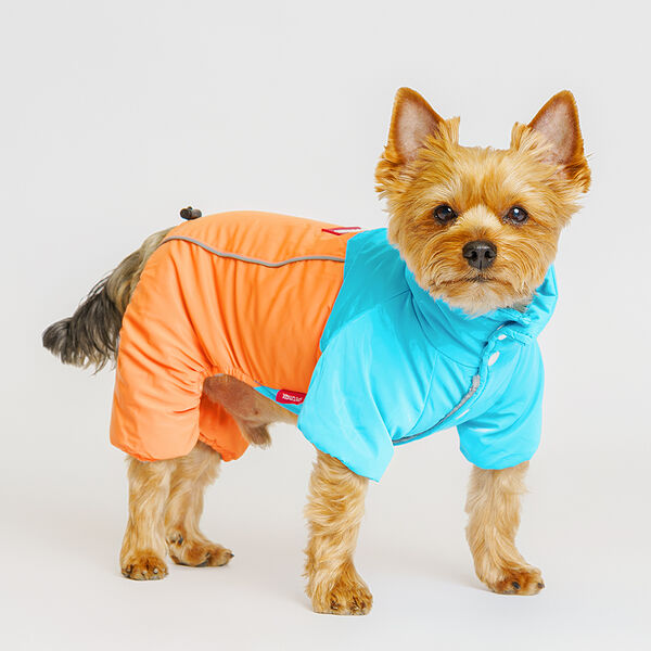 Комбинезон для собак Petmax р. M сине-оранжевый