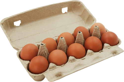 

Яйцо куриное Кольцовское Обогащенное йодом С1 10 шт., пластик