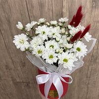 Изображение 3