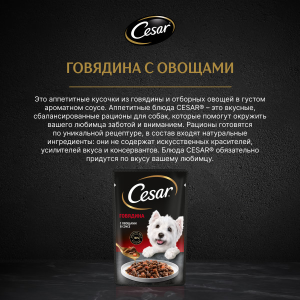 

Влажный корм Cesar для взрослых собак с говядиной и овощами в соусе 85 г