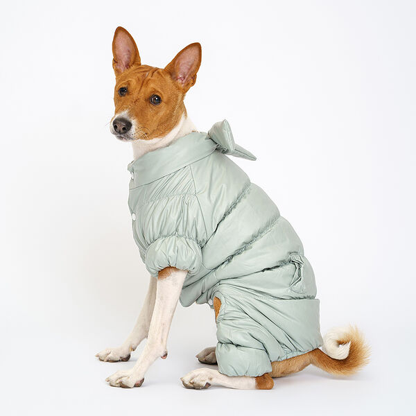 Комбинезон для собак Rurri, XL, зеленый (девочка)