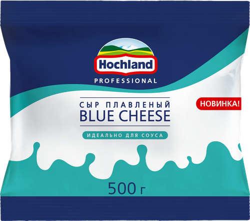 

Сыр Hochland Professional Blue Cheese плавленый 45% 500 г