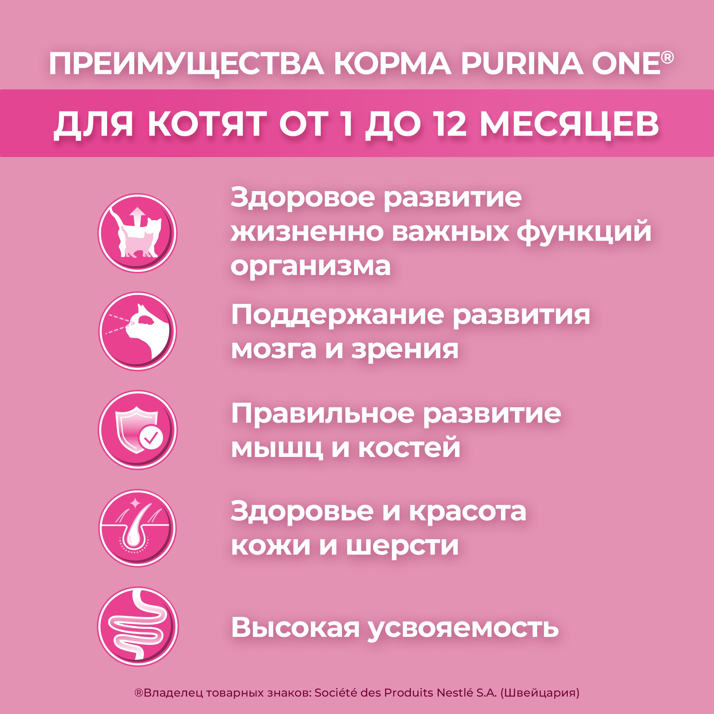 

Сухой корм для котят Purina One с высоким содержанием курицы и цельными злаками 200 г
