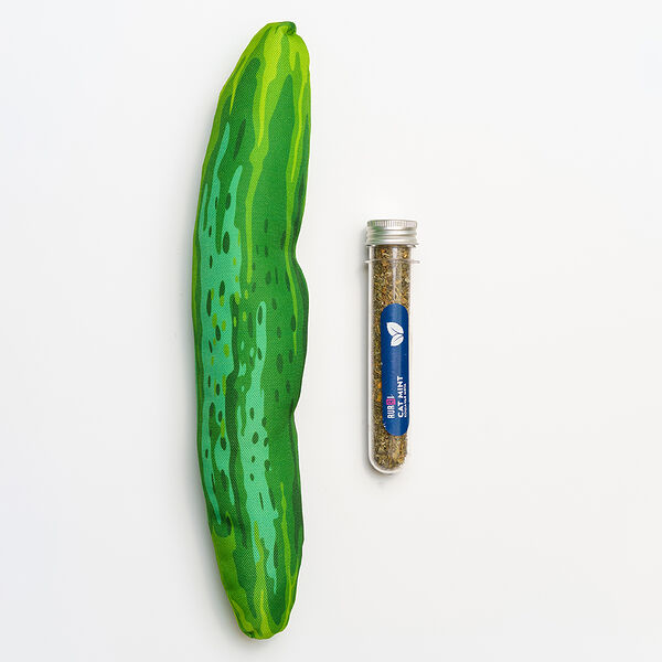 Игрушка Rurri для кошек огурец