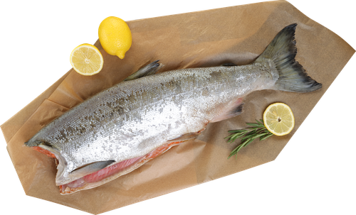 

Кижуч Лента Fresh потрошеный без головы (из замороженного сырья) весовой