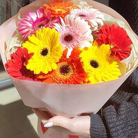 Изображение 4